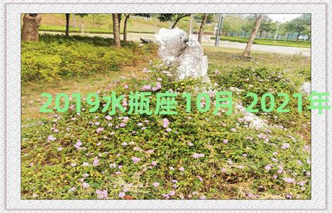 2019水瓶座10月 2021年水瓶座10月